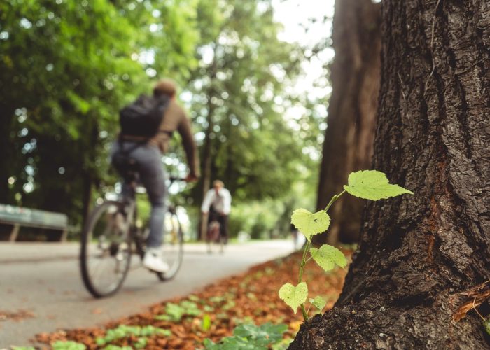 45060 La Vélodyssée